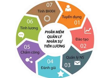 Phần mềm quản lý nhân sự giúp tối ưu nguồn nhân lực
