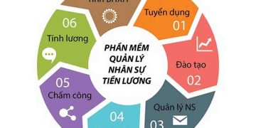 Phần mềm quản lý nhân sự giúp tối ưu nguồn nhân lực