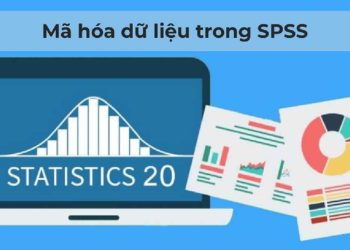 Mã hóa dữ liệu trong SPSS là gì? Cách mã hóa & Ví dụ dễ hiểu