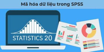 Mã hóa dữ liệu trong SPSS là gì? Cách mã hóa & Ví dụ dễ hiểu