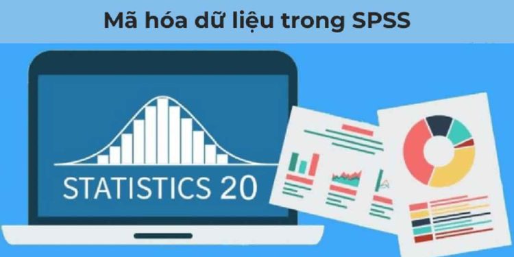 Mã hóa dữ liệu trong SPSS là gì? Cách mã hóa & Ví dụ dễ hiểu