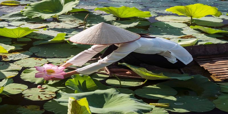 Đi thuyền hái sen là hoạt động must-try khi đến Đồng Sen Tháp Mười