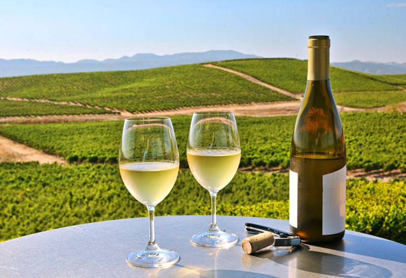 Rượu vang trắng giá bao nhiêu năm 2026 phụ thuộc vào nhu cầu